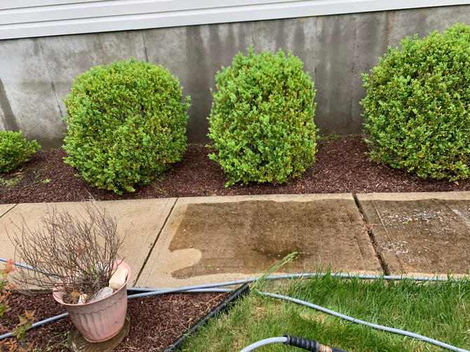 power washing sidewalk in Mercer county NJ - half way done