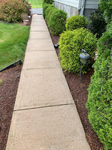 power washing sidewalk in Mercer county NJ - completed